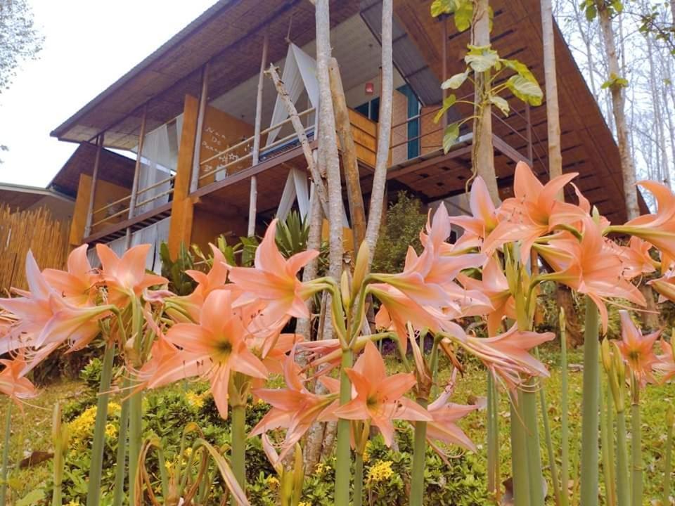 Nan De Panna Resort And Spa ภายนอก รูปภาพ
